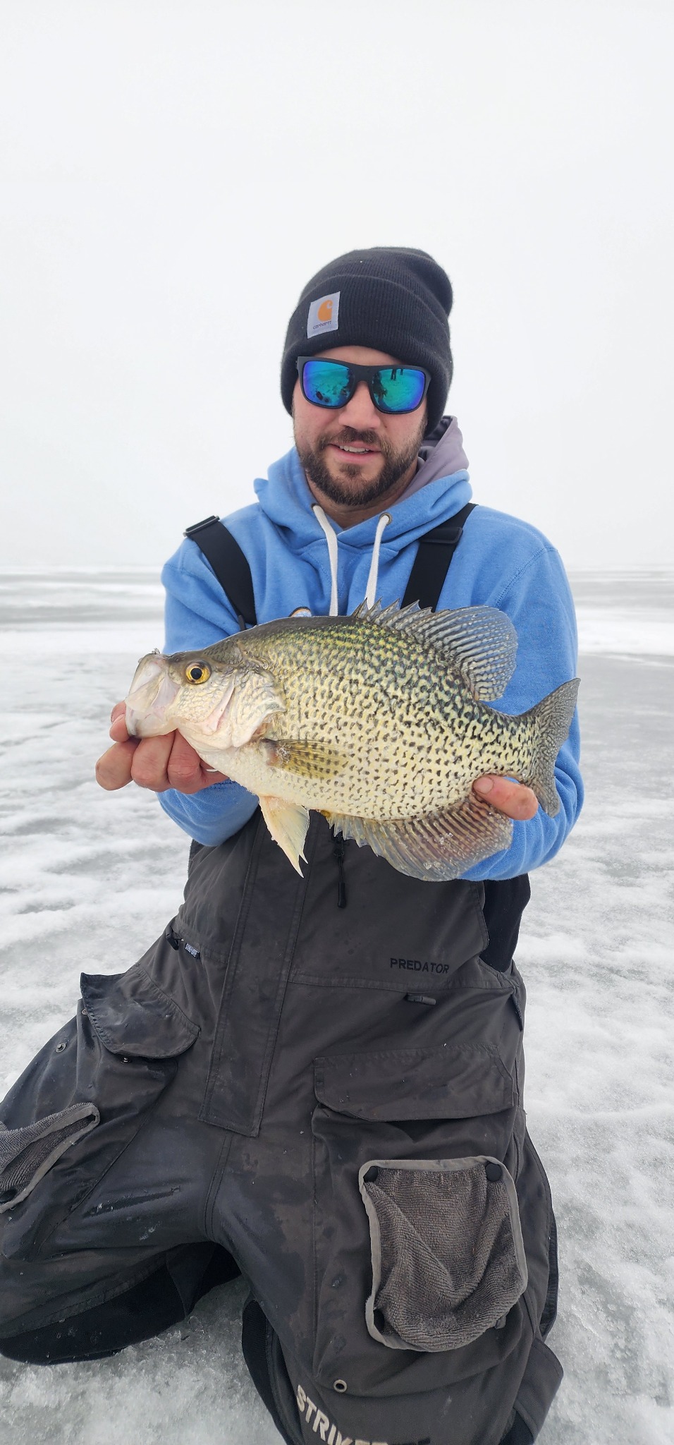 Crappie pile on ice