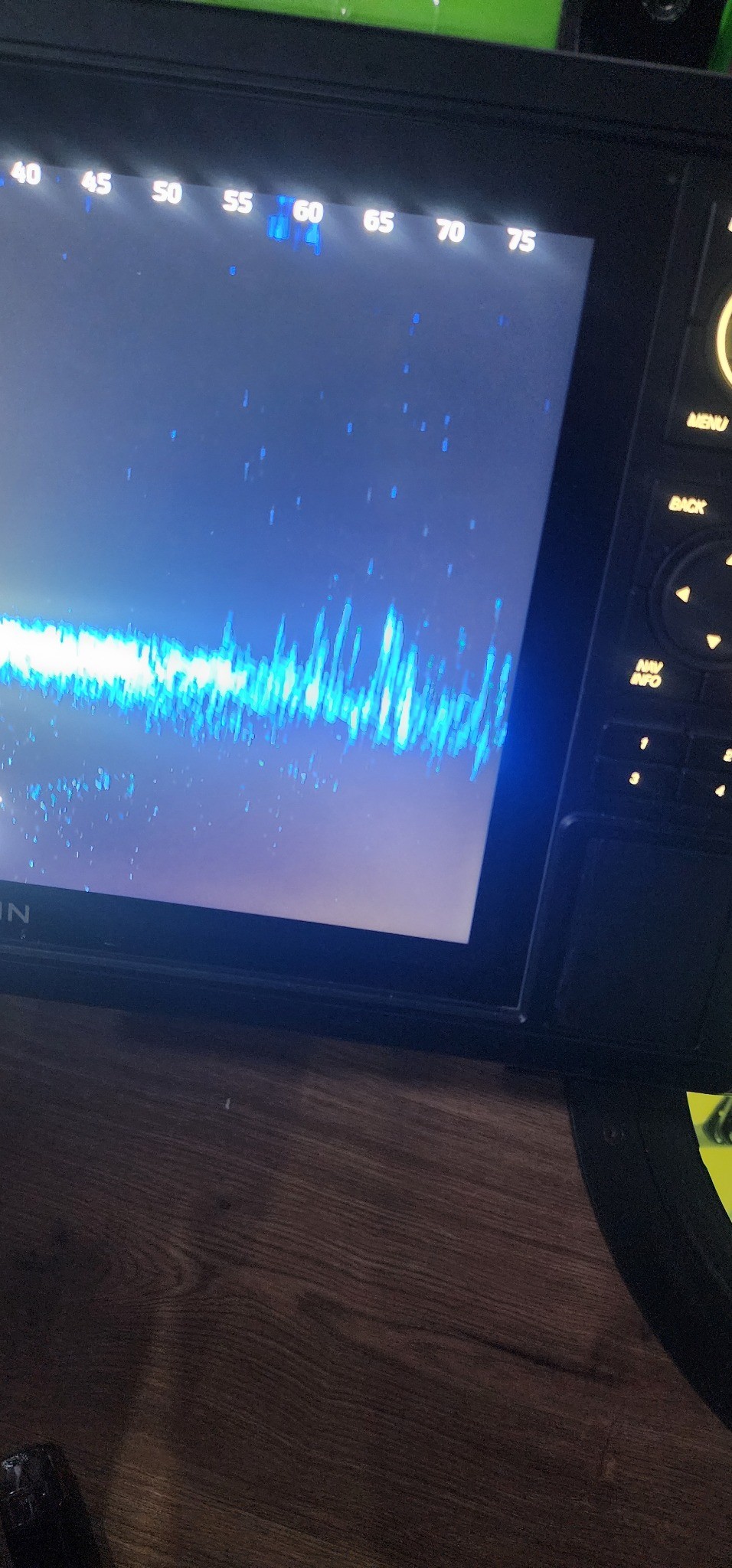 Forward-facing sonar screen